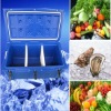 120L Plastic Icebox