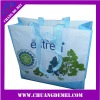 2010 Recycle bag