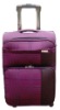 2010 fashion EVA nylon luggage