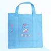 2011 Eco PP Non Woven Bag