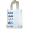 2011 Eco-friendly  shopping bag