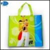 2011 High quality promotion pp woven shopping bag