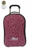 2011 Hot Sale Luggage Case/Trolley Luggagecase/Trolley Travel Case