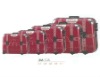 2011 NEW FASHION ABS SUITCASES