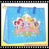 2011 New Non Woven Shopping Bag (YH-NB065)