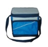 2011 hot sale promotion lunch cooler bag