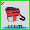 2011 insulated cooler tote bag