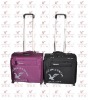 2011 new cabin luggage