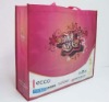 2011 new  pp shopping Bag for promotion (ecofriendly)