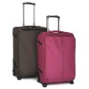 2011 new stlye soft travel case