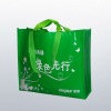 2011 pp non woven shopping bag