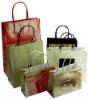 2011 shopping paper bag