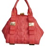 2011 spring/summer hot ladies handbag