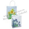 2012 High quality Recycle bag