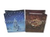 2012 New Design Shopping Paper Bag SR/PB-012