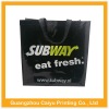 2012 fashion shopping bag