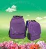 2012 massage leisure laptop bag