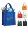 80GSM Non-woven shopping bag