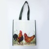 Custom Non woven Bag