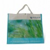 Eco-friendly PP Non-woven Shopping Bag