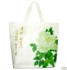 Eco-friendly PP non woven bag,shopping bag