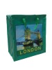 Eco-friendly Promotional  PP Shopping Bag