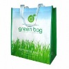 Eco non woven bag