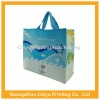 Environmental pp woven shoping bag