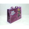 Fashion Non Woven Shopping Bag