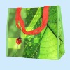 Fashion PP Woven Shopping Bag