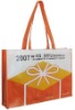 Fashion Promotion bag