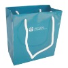 Glossy Laminated Shopping Paper Bag