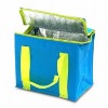 High quality ice cooler bag