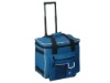 Insulated Cooler bag /cooler bag/ice bag/picnic cooler