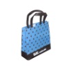 Lamianted samller non woven tote bag