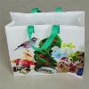 Laminated PP Woven Shopping Bags