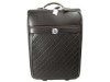 Leather Luggage