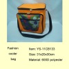 Multi-function Insulated Ice cooler bag