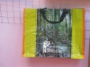 NEW Green Eco-friendly PP woven  bag for shopping