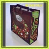 New style eco-friendly Non-woven bag