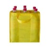 Non Woven Bottle Wine Bag