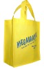 Non Woven Grocery Bag