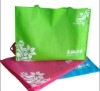 Non woven shopping bag