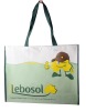 PE woven promotional  bag