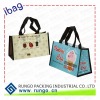 PP Non Woven Promotional Bag (NW-62 63)