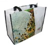 PP Non Woven Shopping Bag