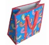 PP Non woven gift Bag (foldable bag)