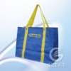 PP woven Shopping Bag