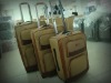 PU trolley luggage