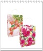 Paper Bag(promotion bag,gift bag)